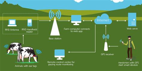 rfid cattle tracking system|rfid livestock tracking.